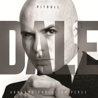 Como Yo Le Doy (feat. Don Miguelo) [Spanglish Version] by Pitbull song reviws