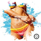 Feels Like This (Alle Farben Remix) [feat. Belle Humble] [Extended Version] artwork