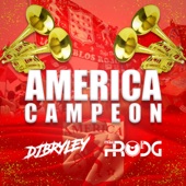 América Campeon artwork
