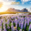 Wonderful Place - Single