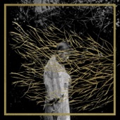 Forest Swords - Thor's Stone