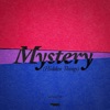 Mystery (Hidden Things) - Single
