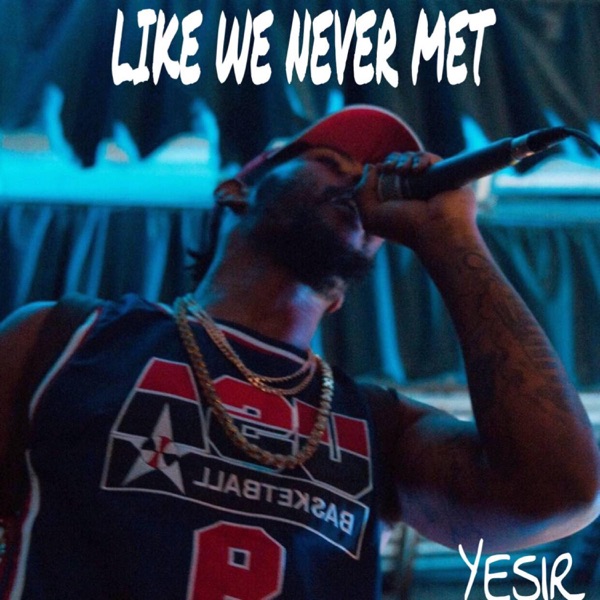 Like We Never Met - Single - Yesir