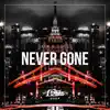 Never Gone - Single album lyrics, reviews, download