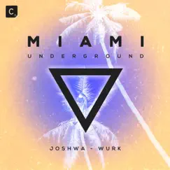 Wurk - Single by Joshwa album reviews, ratings, credits