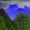 Tears Are Falling - Single album lyrics, reviews, download