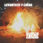 Levantate Y Lucha (feat. Trcmc, Esteban Contreras) artwork