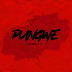 Pungwe Sessions, Vol. II (feat. Rymez) by Pungwe Sessions album reviews, ratings, credits