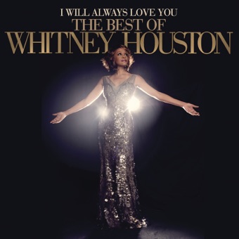 WHITNEY HOUSTON - ONE MOMENT IN TIME(C)