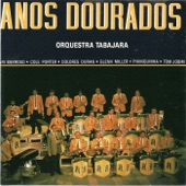 Anos Dourados, Vol. 1 artwork