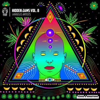 Hidden Jams Vol. 8 - EP by Various Artists album reviews, ratings, credits