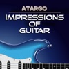 Impressions of Guitar