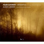 Alexei Lubimov - Impromptu, Op. 90 D. 899: No. 1 in C Minor (Allegro molto moderato)