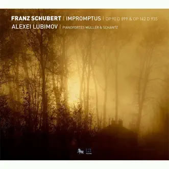 Impromptu, Op. 90 D. 899: No. 3 in G-Flat Major (Andante mosso) by Alexei Lubimov song reviws