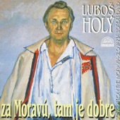 Za Moravú, Tam Je Dobre (Portrét Folklor. Zpěváka) artwork