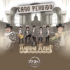 Caso Perdido - Single