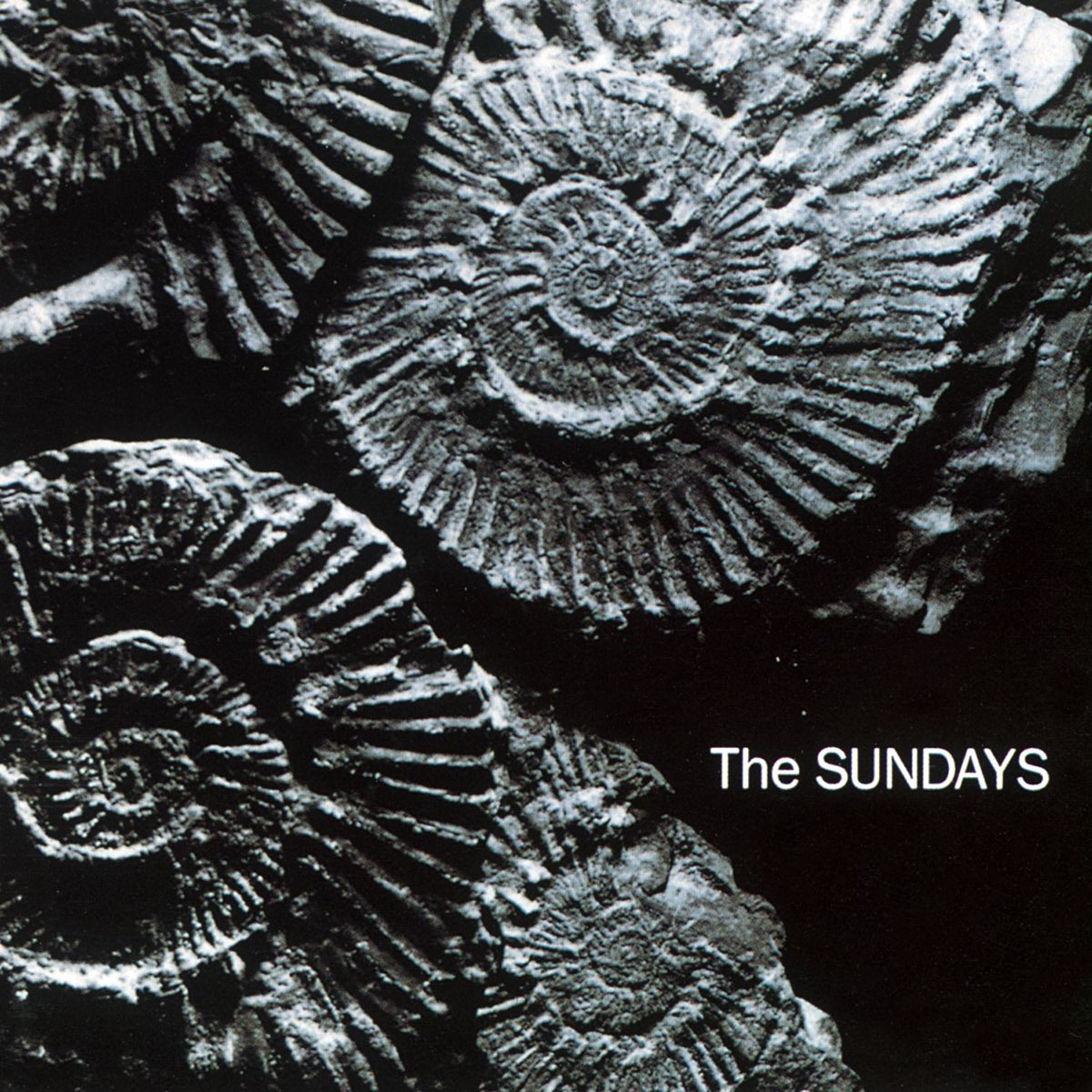 reading-writing-and-arithmetic-by-the-sundays-on-apple-music