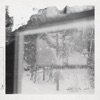 Leaving Laurel - Winter in the Woods