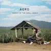 Stream & download Agro (Ghost in the Shell Remix) - Single