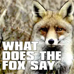 What Does the Fox Say (Single) by The Foxx album reviews, ratings, credits