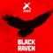 Black Raven - Hbkn lyrics