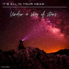 It's All in Your Head, Vol. 1: Under a Sky of Stars by Various Artists album reviews, ratings, credits