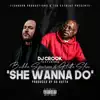 She Wanna Do' (feat. Bubba Sparxxx & Hitta Slim) song lyrics