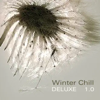 Winter Chill Deluxe 1.0 by Various Artists album reviews, ratings, credits