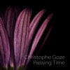 Passing Time - Single