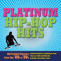 Platinum Hip Hop Hits (Re-Recorded / Remastered Versions) by Various Artists album reviews, ratings, credits