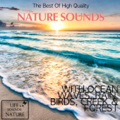 The Best of High Quality Nature Sounds With Ocean Waves, Rain, Birds, Creek & Forest - Life Sounds Nature