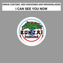 I Can See You Now - EP by Dirkie Coetzee, Neo Kekkonen & Ridgewalkers album reviews, ratings, credits