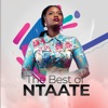 The Best of Ntaate - Single
