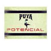 Puya - Potencial