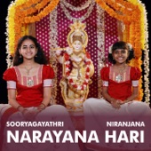 Narayana Hari artwork