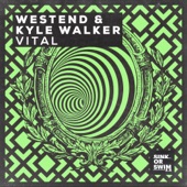 Vital (Extended Mix) artwork