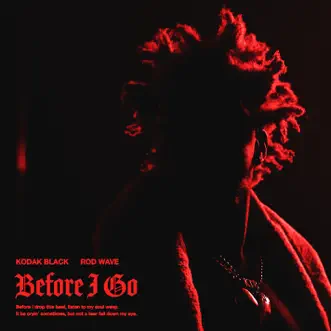 Before I Go (feat. Rod Wave) - Single by Kodak Black album reviews, ratings, credits