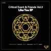 Stream & download Critical Event & Friends Vol.3 - Like You - Single