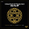 Critical Event & Friends Vol.3 - Like You - Single