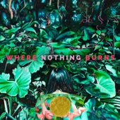 Where Nothing Burns - The End