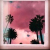 Warm Breeze - Single