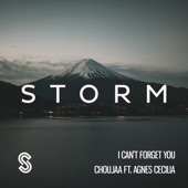 I Can't Forget You (feat. Choujaa) [Extended Mix] artwork