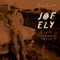 I Had My Hopes Up High - Joe Ely lyrics