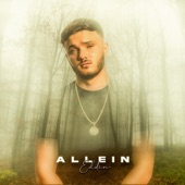 Allein artwork