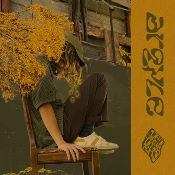 Cover artwork for argyle