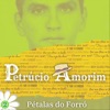 Pétalas do Forró: 2 - Single