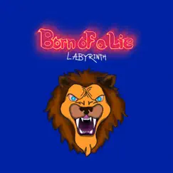 Labyrinth - Single by Born of a lie album reviews, ratings, credits