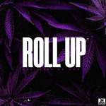 Roll Up - Single