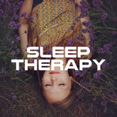Sleep Therapy: 20 Ways to Fall Asleep That Actually Work (2018) artwork