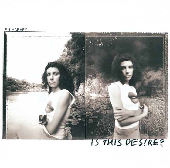 Cover artwork for The Garden
